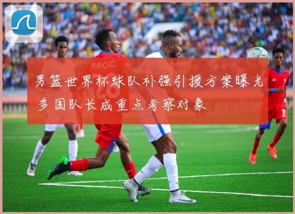 男篮世界杯球队补强引援方案曝光 多国队长成重点考察对象