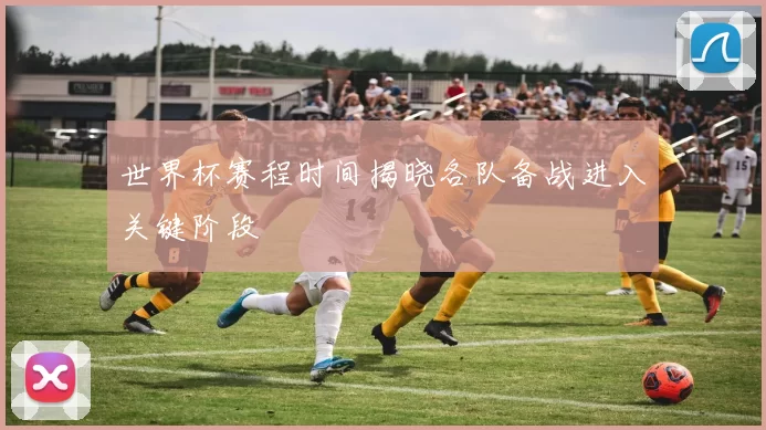 世界杯赛程时间揭晓各队备战进入关键阶段