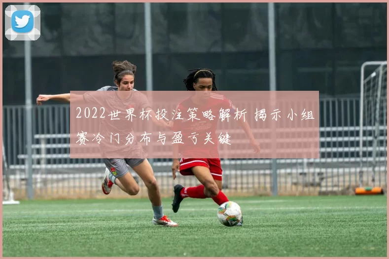 2022世界杯投注策略解析 揭示小组赛冷门分布与盈亏关键