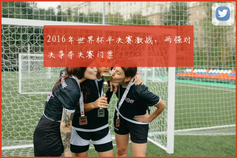 2016年世界杯半决赛激战,两强对决争夺决赛门票