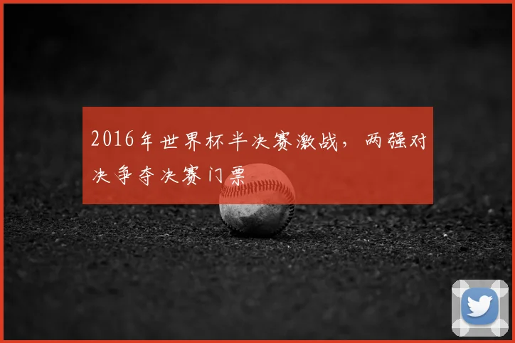 2016年世界杯半决赛激战,两强对决争夺决赛门票