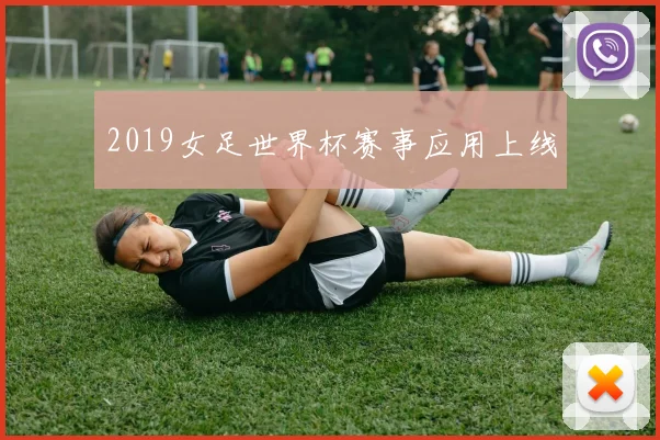 2019女足世界杯赛事应用上线